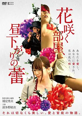高清电影南方来信免费观看